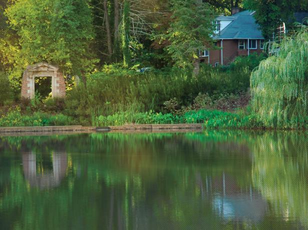 Dell Pond
