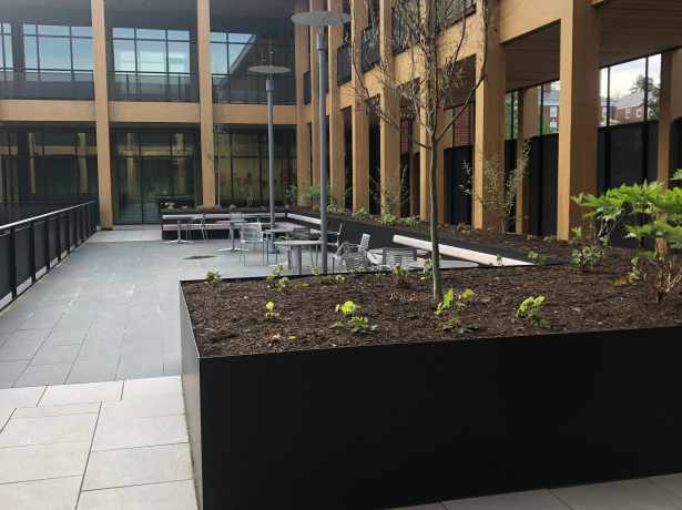 The Garden Terrrace on the 3rd floor of the Contemplative Commons