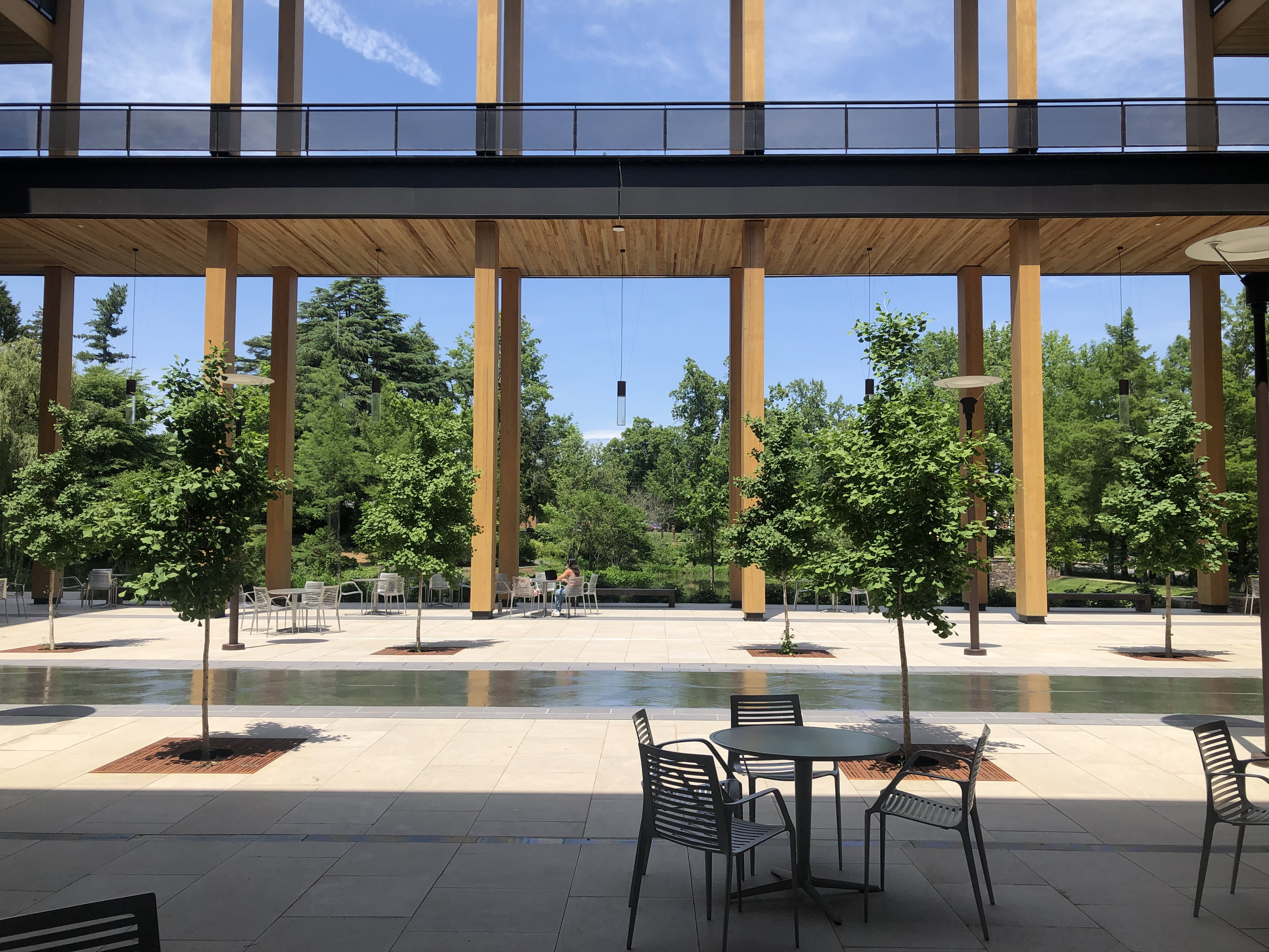 Ginkgo Garden Courtyard