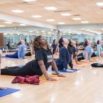 Ashtanga Yoga: Sanskrit-Counted Primary Series - Fall 2022
