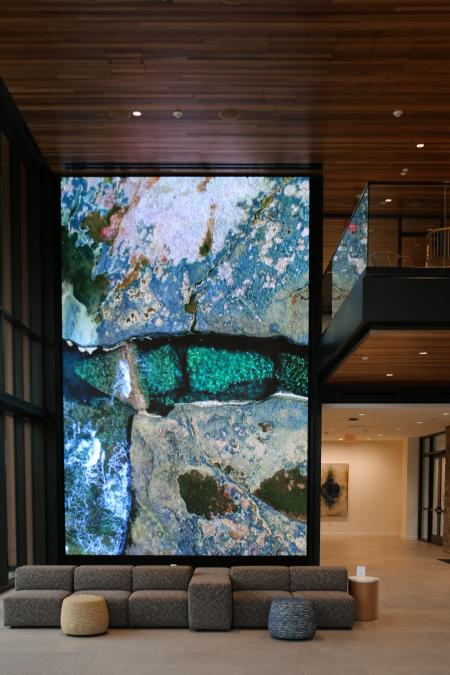 Video wall showing rocks with lichen
