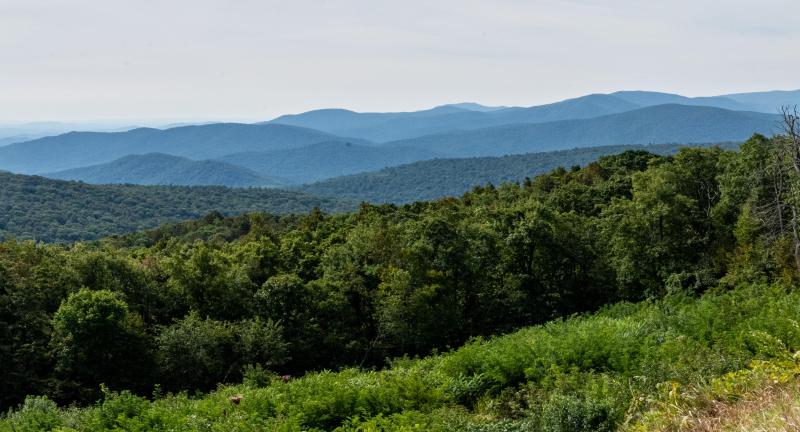 View from the Blue Ridge Parkway in the Shenandoah National Park